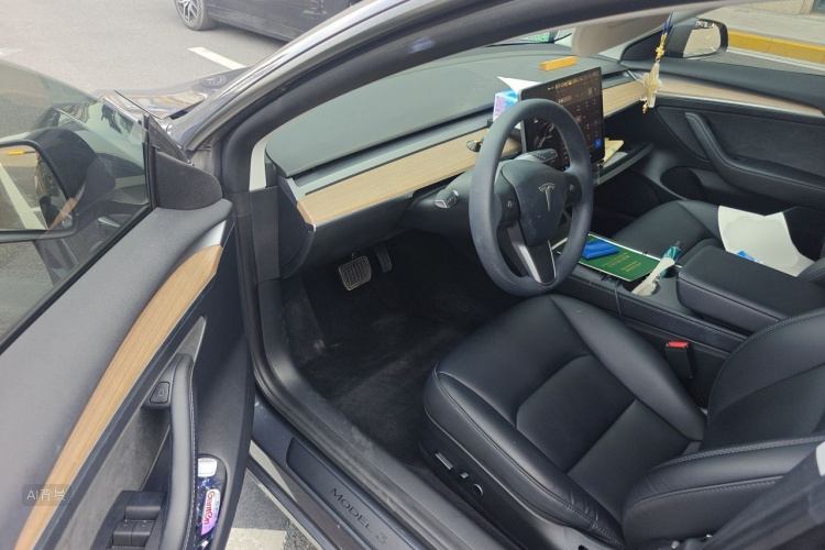 Tesla Model 3 2023 car image #18