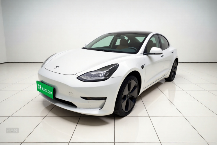 Tesla Model 3 2020 #2 Tesla Model 3 2020 car image #2