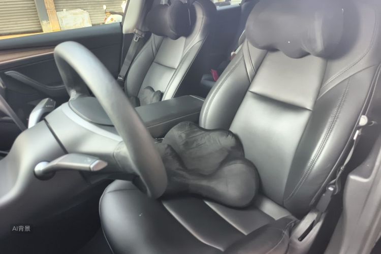 Tesla Model 3 2021 car image #17