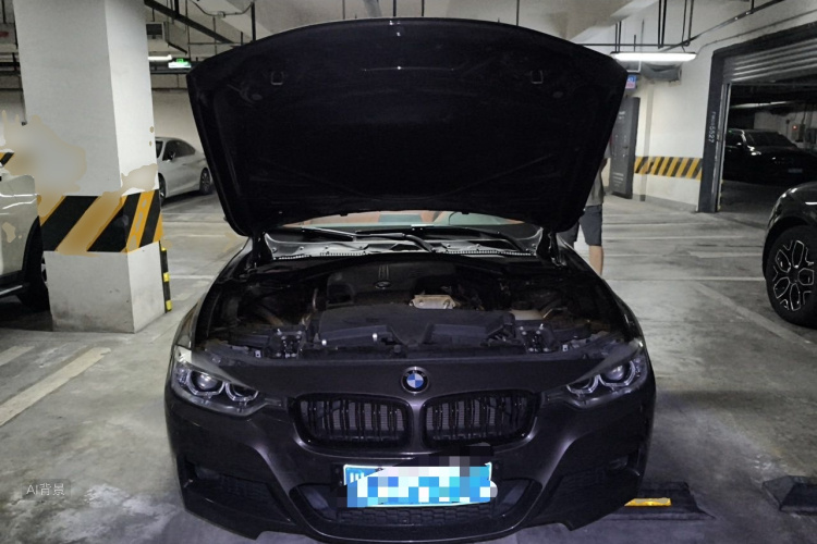 BMW 3 Series 2014 car image #22