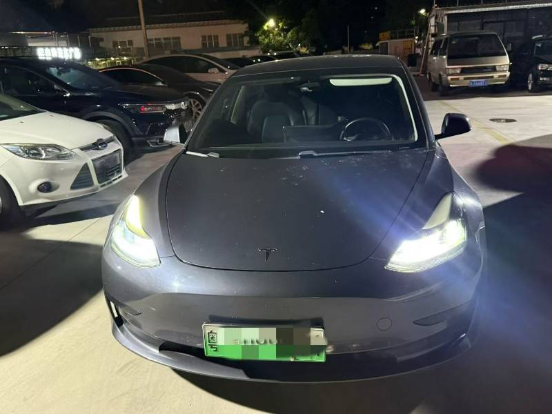 Tesla Model 3 2021 #2 Tesla Model 3 2021 car image #2