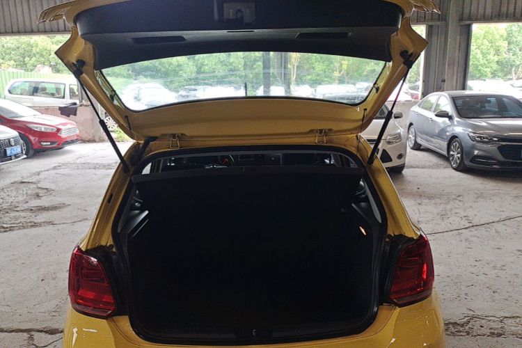 Volkswagen Polo 2014 car image #19