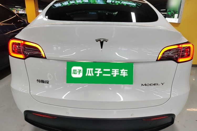 Tesla Model Y 2021 car image #6