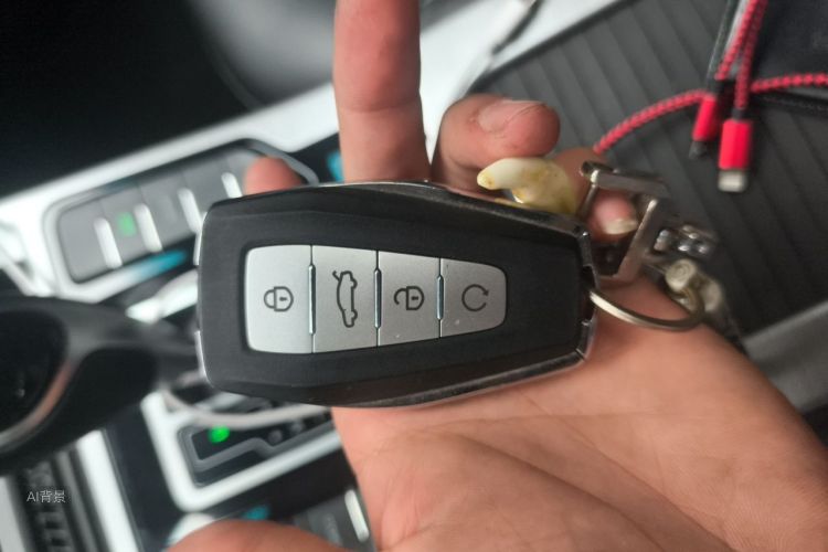 GEELY Emgrand GS 2020 car image #10