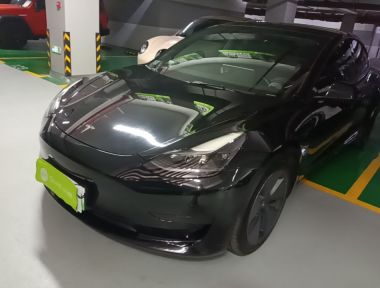 Tesla Model 3 2021 Tesla Model 3 2021 car image
