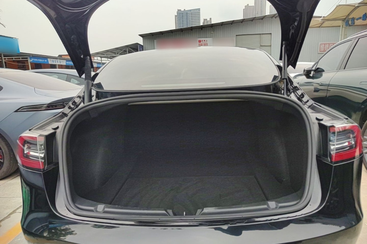 Tesla Model 3 2021 #19 Tesla Model 3 2021 car image #19