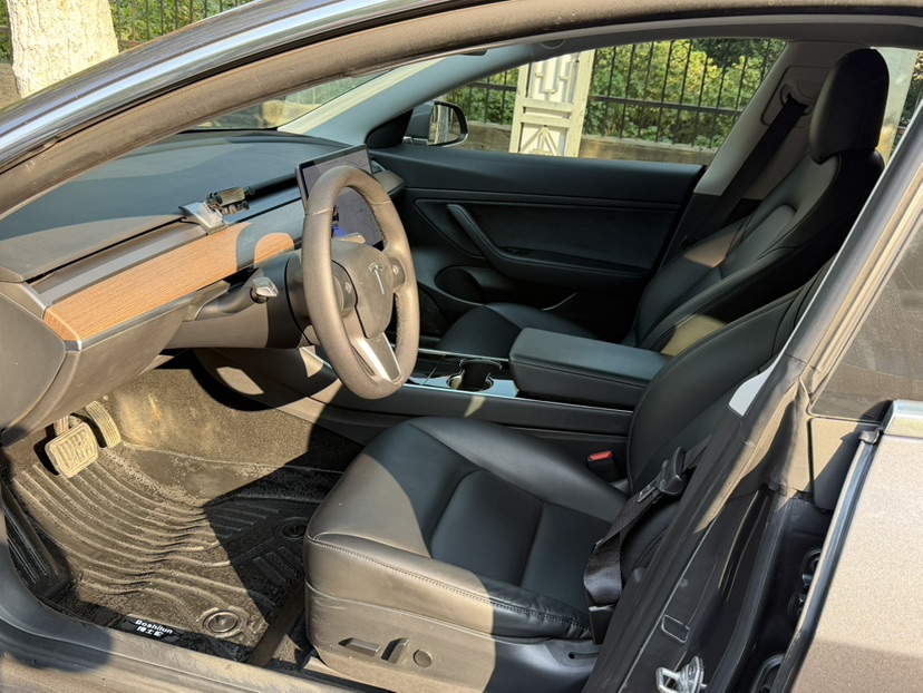 Tesla Model 3 2020 imagen de coche #4