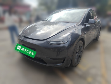 Tesla Model Y 2024 Tesla Model Y 2024 car image