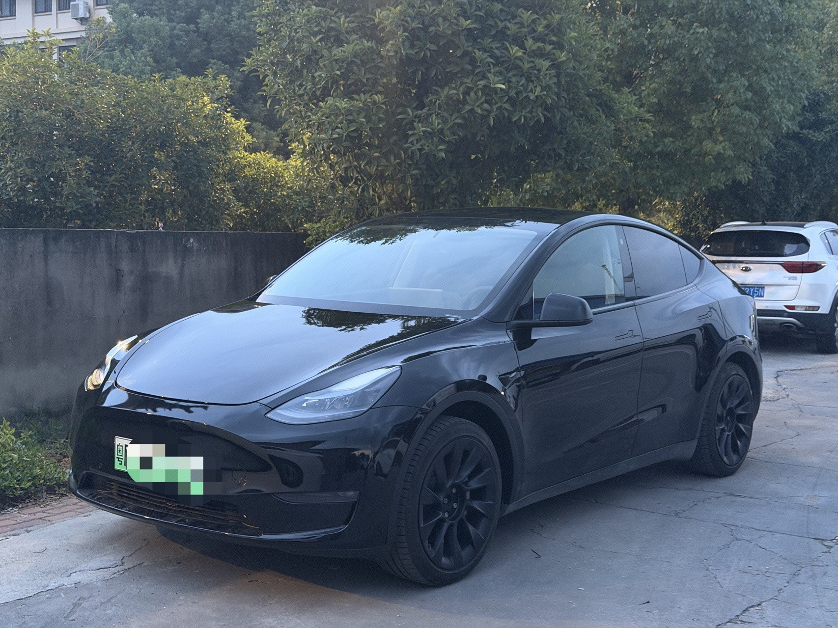 Tesla Model Y 2023 Tesla Model Y 2023 car image