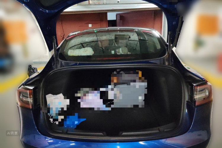 Tesla Model 3 2020 #21 Tesla Model 3 2020 car image #21