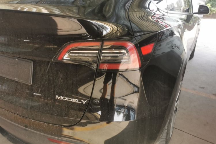 Tesla Model Y 2023 #8 Tesla Model Y 2023 car image #8