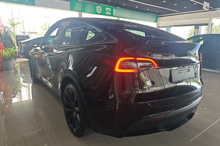 Tesla Model Y 2021 #5 Tesla Model Y 2021 car image #5
