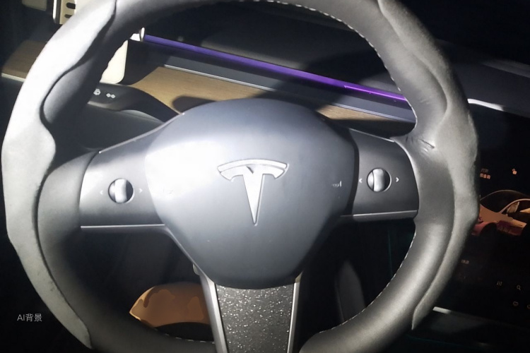 Tesla Model Y 2022 car image #12