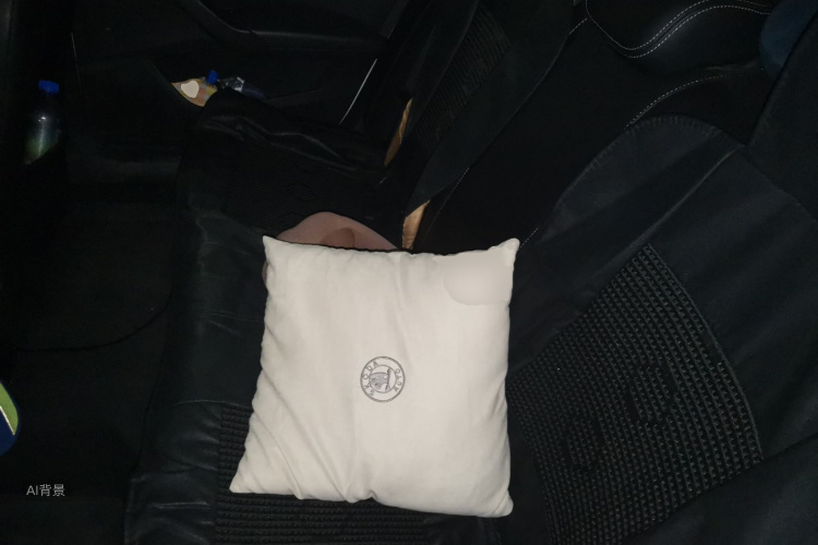 Skoda Rapid 2019 #19 Skoda Rapid 2019 image de voiture #19