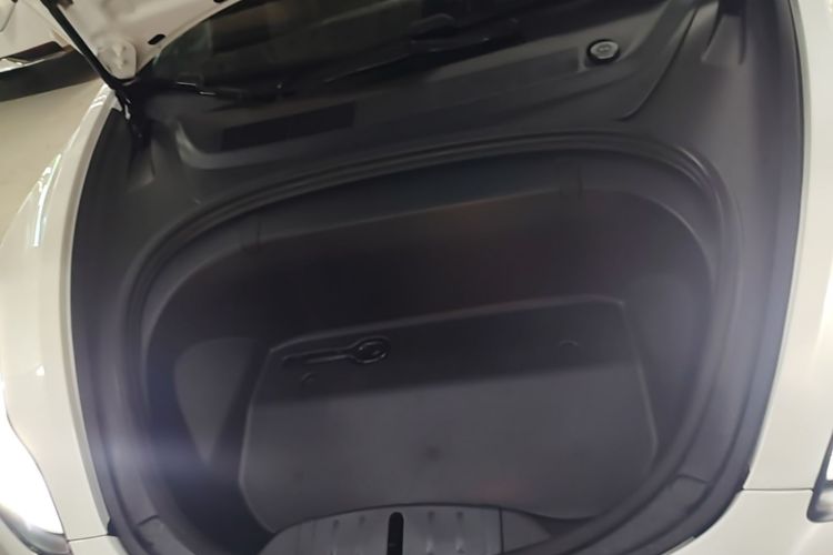 Tesla Model 3 2020 immagine di auto #20