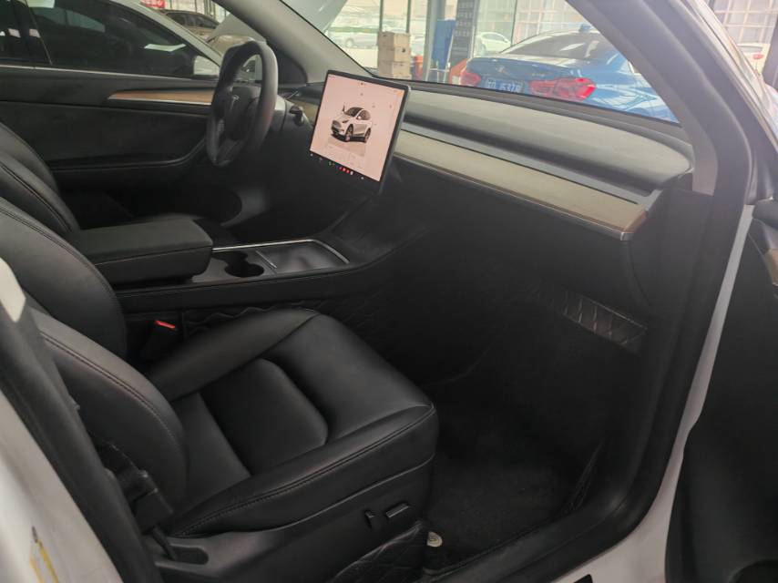 Tesla Model Y 2023 car image #6