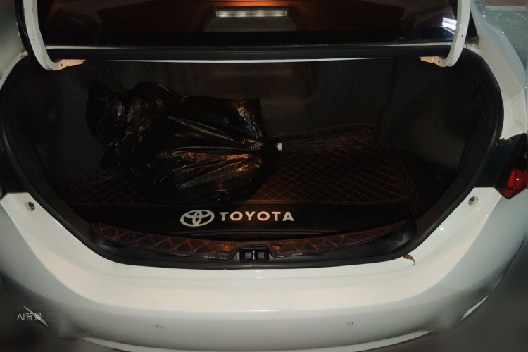 Toyota Corolla 2017 car image #21