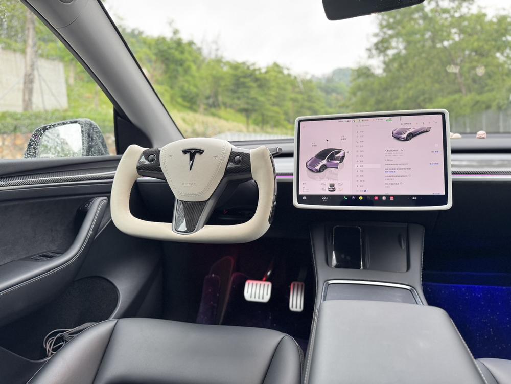 Tesla Model Y 2024 car image #12