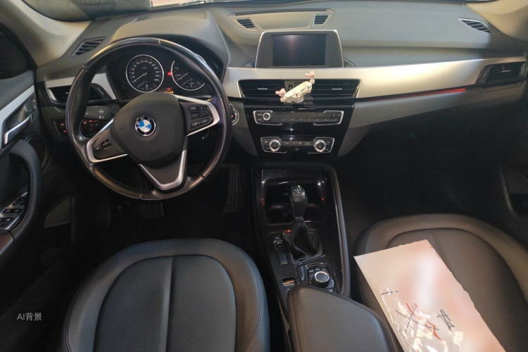 BMW X1 2017 car image #11