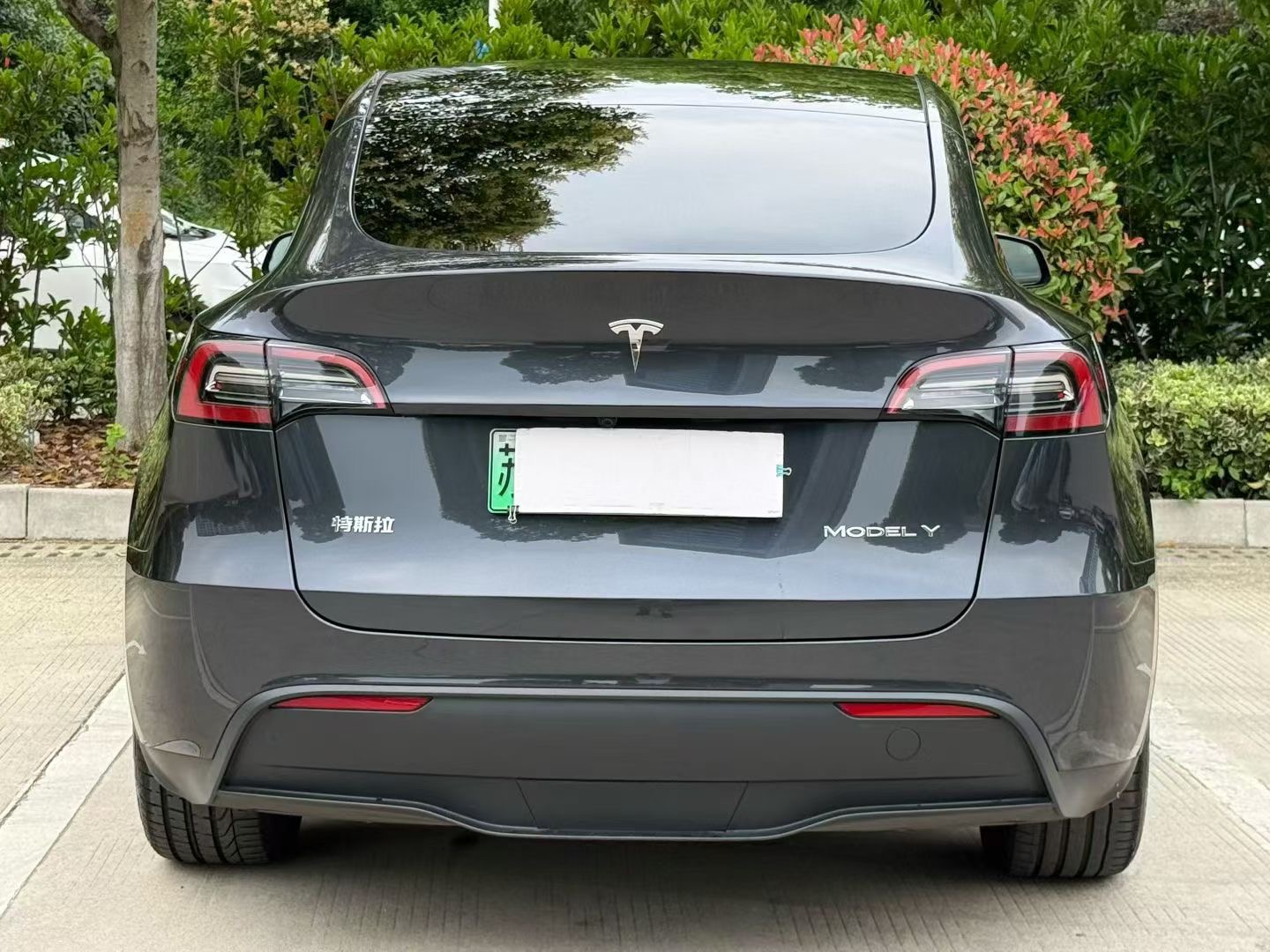 Tesla Model Y 2025 car image #4