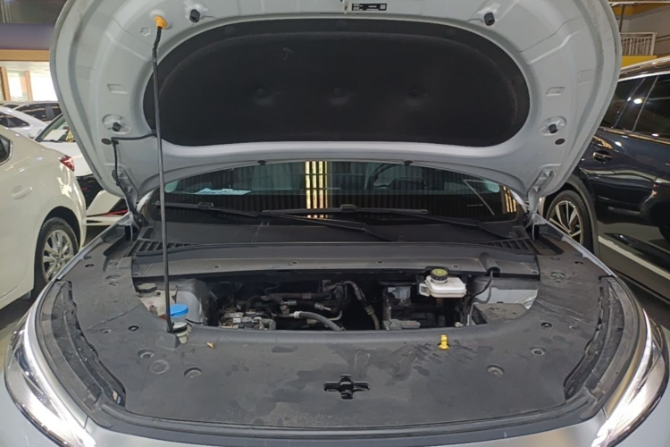 BYD Yuan Plus 2023 car image #20