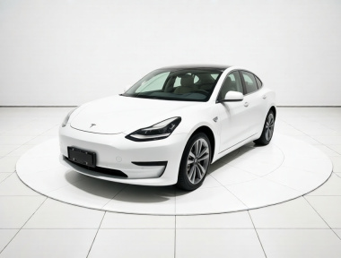 Tesla Model 3 2020 Tesla Model 3 2020 car image
