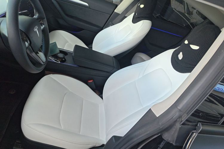 Tesla Model 3 2021 #15 Tesla Model 3 2021 immagine di auto #15