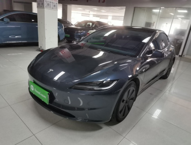 Tesla Model 3 2024 Tesla Model 3 2024 car image