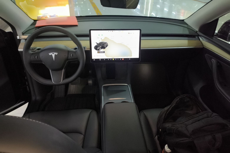 Tesla Model Y 2021 car image #10
