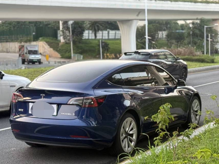 Tesla Model 3 (Imported) 2019 car image #4