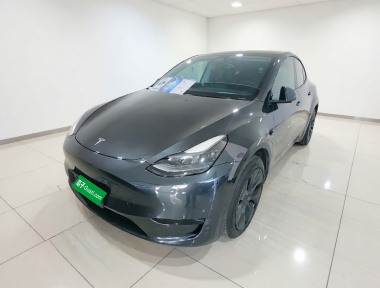 Tesla Model Y 2024 car image 