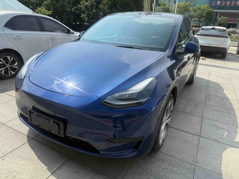 Tesla Model Y 2022 Tesla Model Y 2022 car image