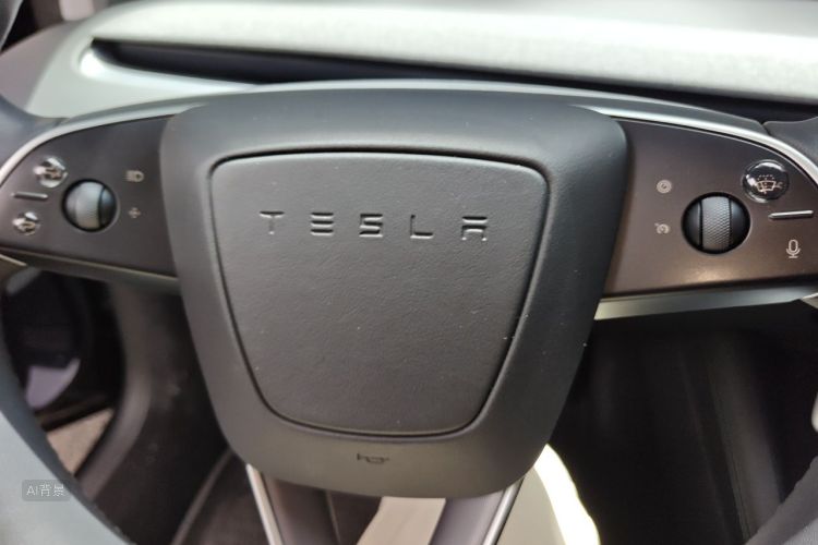 Tesla Model 3 2024 car image #10