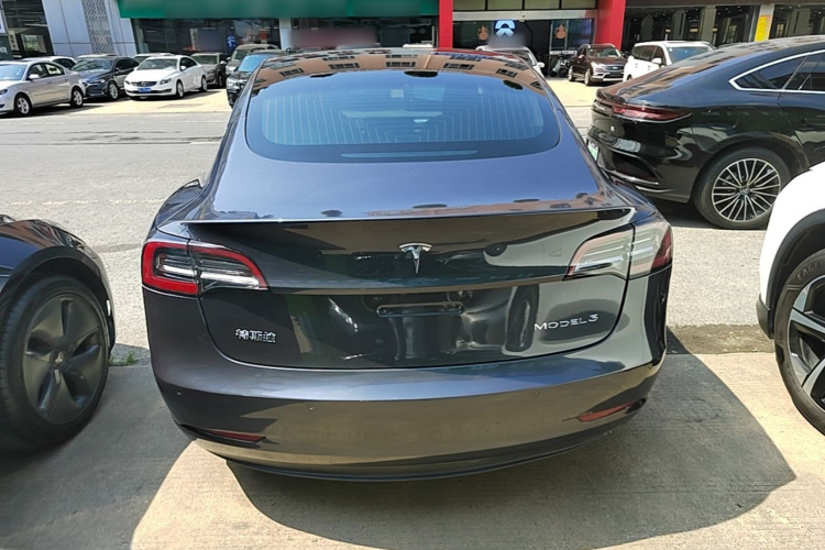 Tesla Model 3 2020 #6 Tesla Model 3 2020 car image #6