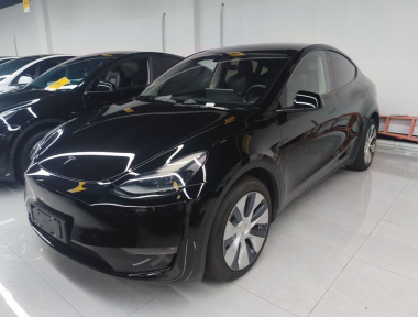 Tesla Model Y 2021 Tesla Model Y 2021 immagine di auto