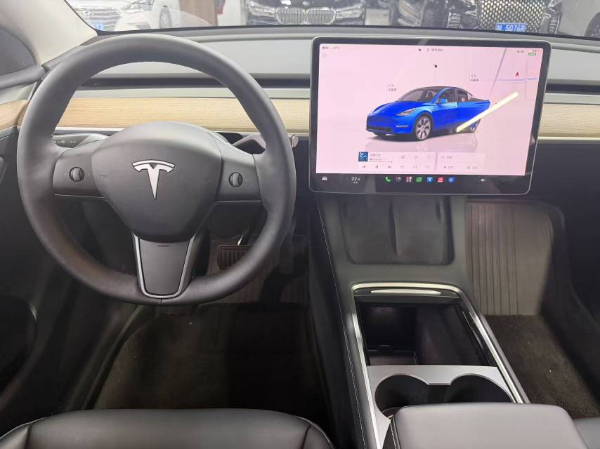 Tesla Model Y 2022 car image #10
