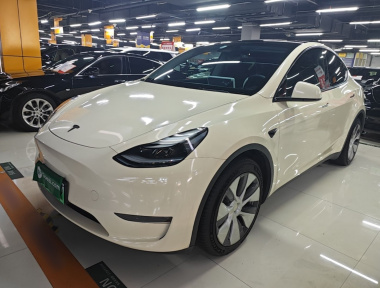 Tesla Model Y 2021 Tesla Model Y 2021 car image