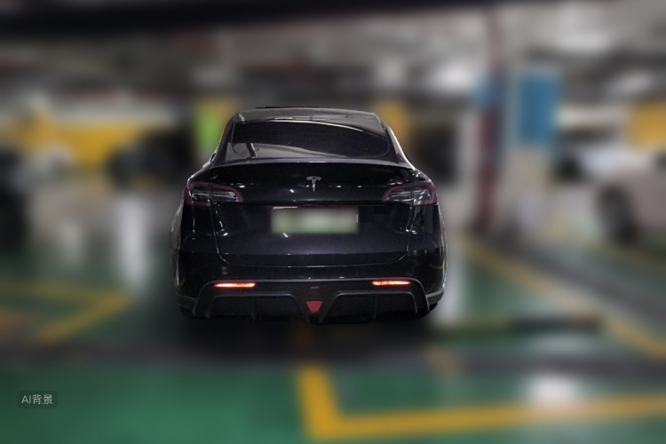 Tesla Model Y 2021 car image #6