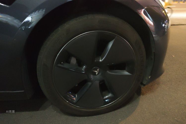 Tesla Model 3 2021 car image #9