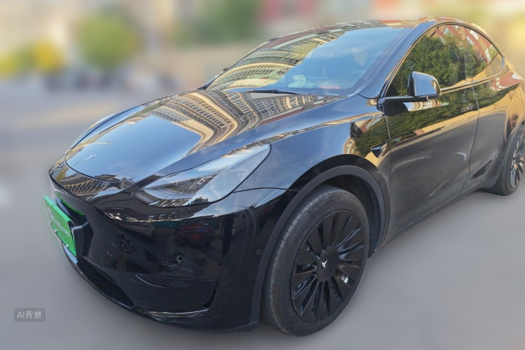 Tesla Model Y 2023 #2 Tesla Model Y 2023 car image #2