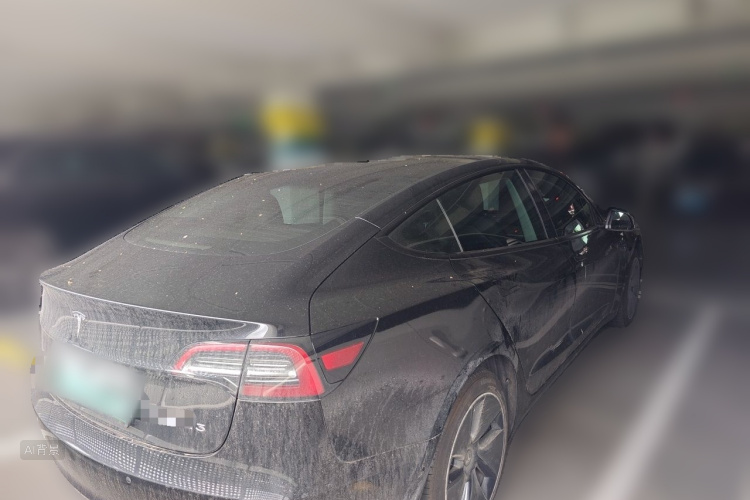 Tesla Model 3 2021 car image #7