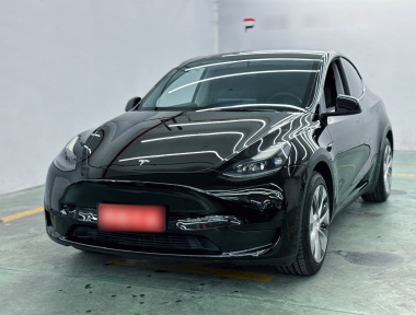 Tesla Model Y 2022 Tesla Model Y 2022 car image