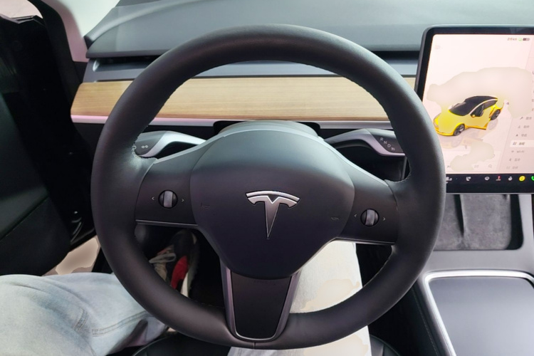 Tesla Model 3 2023 car image #11