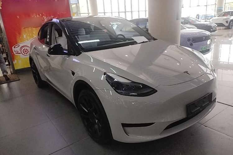 Tesla Model Y 2023 #6 Tesla Model Y 2023 car image #6