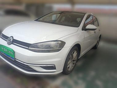 Volkswagen Golf 2019 Volkswagen Golf 2019 car image