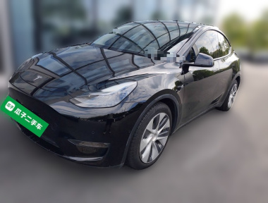 Tesla Model Y 2021 Tesla Model Y 2021 car image
