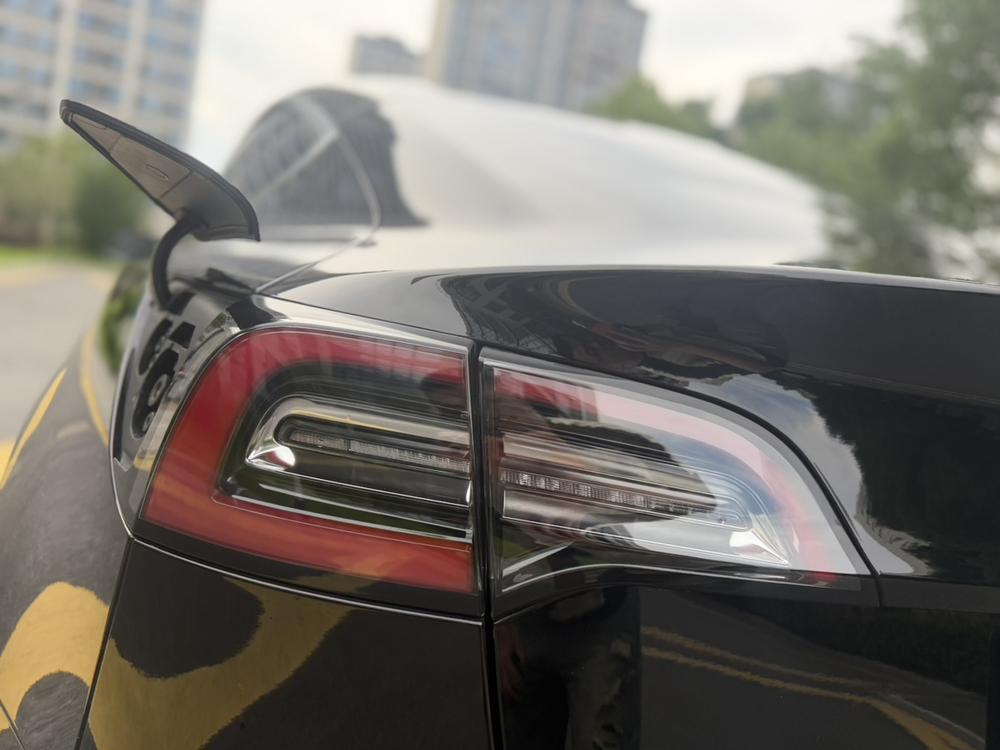 Tesla Model 3 2020 #8 Tesla Model 3 2020 car image #8