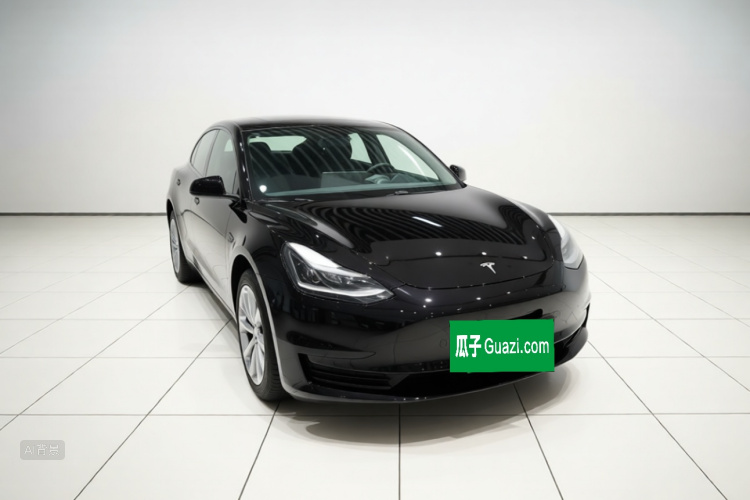 Tesla Model 3 2021 car image #4