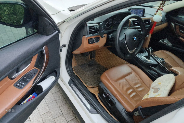 BMW 3 Series 2014 car image #18