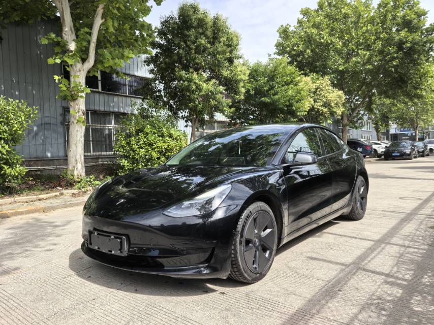 Tesla Model 3 2021 Tesla Model 3 2021 car image